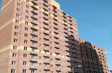 dom48